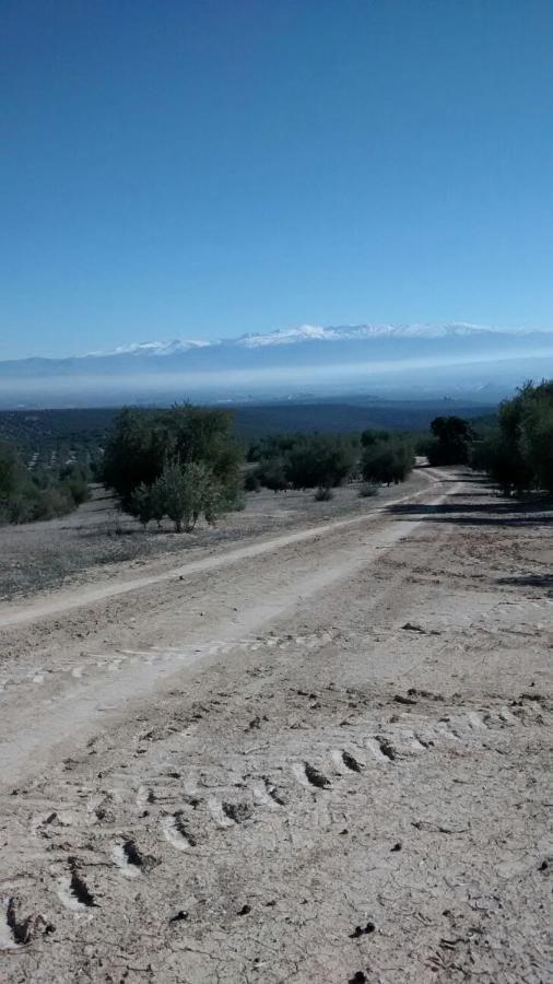 ホテルCasa Rural San Rafael Lachar エクステリア 写真