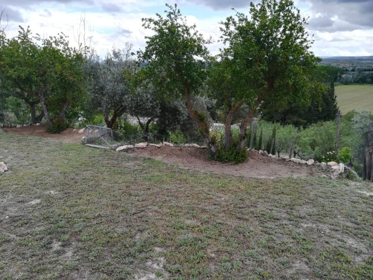 ホテルCasa Rural San Rafael Lachar エクステリア 写真